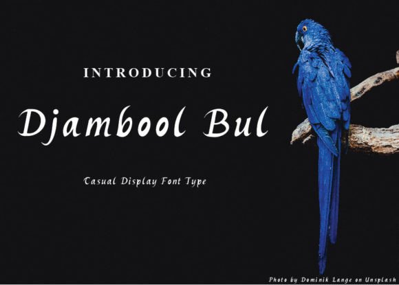 A Handmade Seller’s Review of the Djambool Bul Display Font