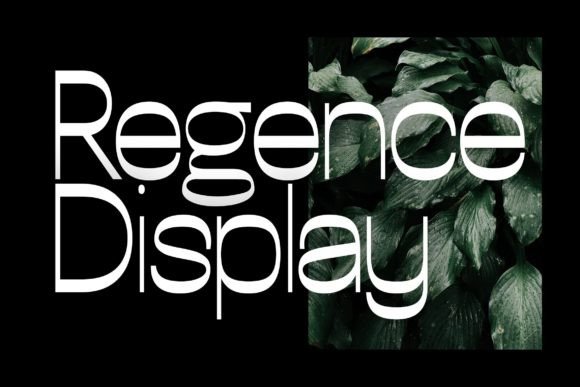 Regence Font Review for Small Business Branding and Packaging