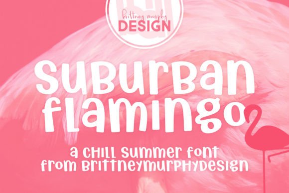 Suburban Flamingo: A Quirky Display Font for Modern Web Design